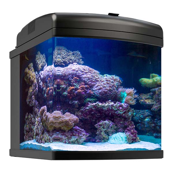 28G Nano-Cube WIFI AIO Aquarium