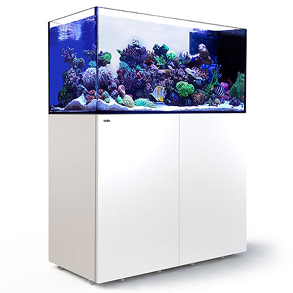 Red Sea REEFER™ Peninsula 500 Rimless Reef Ready System, White