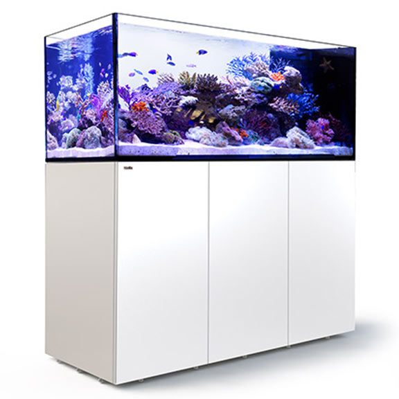 Red Sea REEFER™ Peninsula 650 Rimless Reef Ready System, White 