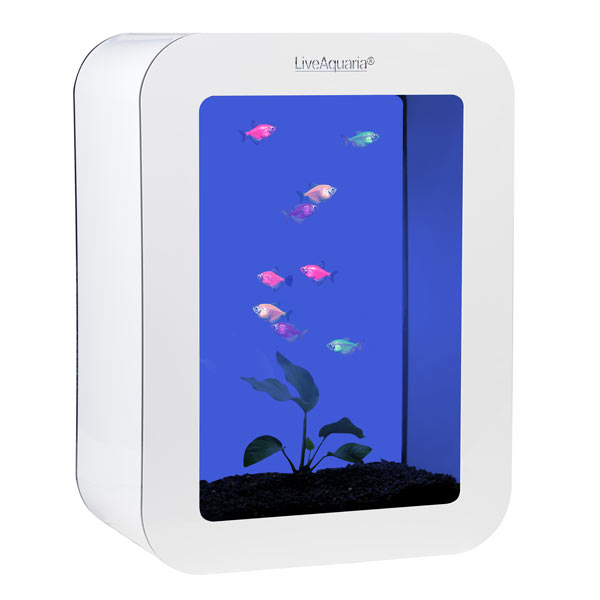 LiveAquaria® GloFish Tetra Aquarium Kit Cubi White