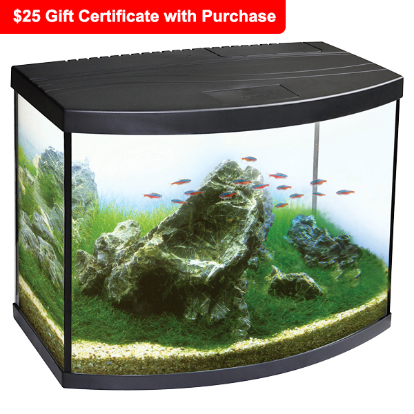 LiveAquaria® Bow-Front Aquarium