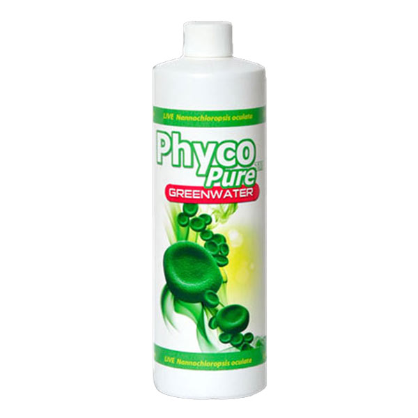 AlgaGen PhycoPure™ Green Water