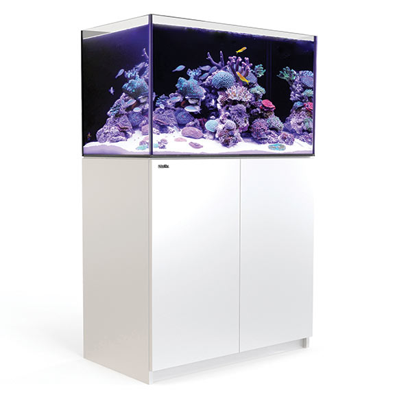Red Sea REEFER 250 65G System - White