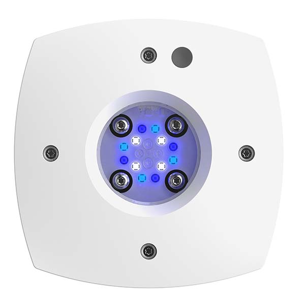 AquaIllumination Prime Sol LED Light Fixture