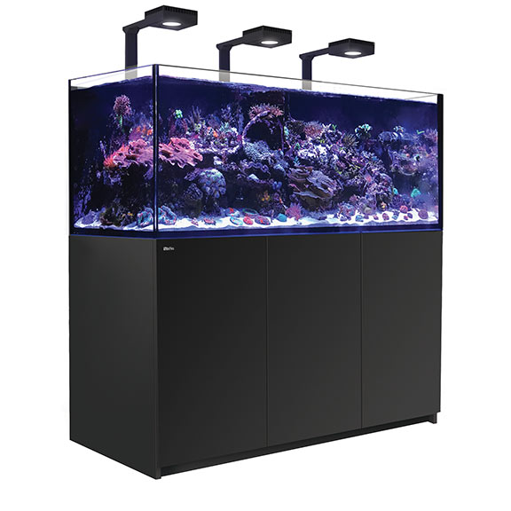 Red Sea REEFER™ DELUXE XXL 625 Rimless Reef Ready System, Black