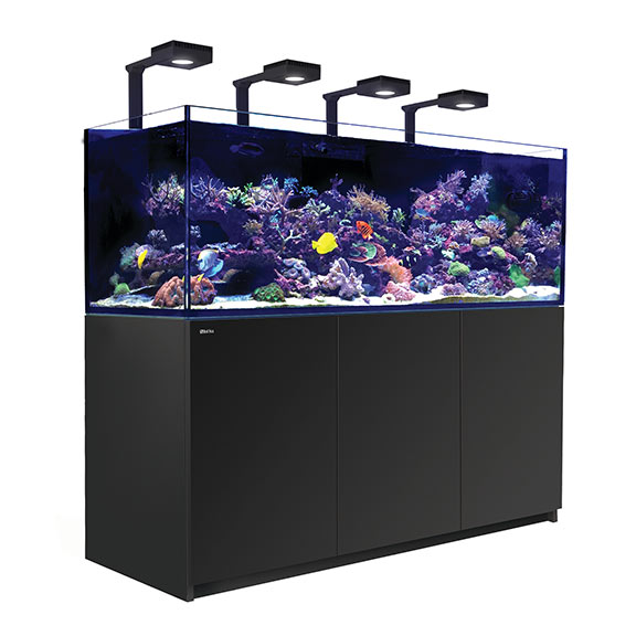 Red Sea REEFER™ DELUXE XXL 750 Rimless Reef Ready System, Black