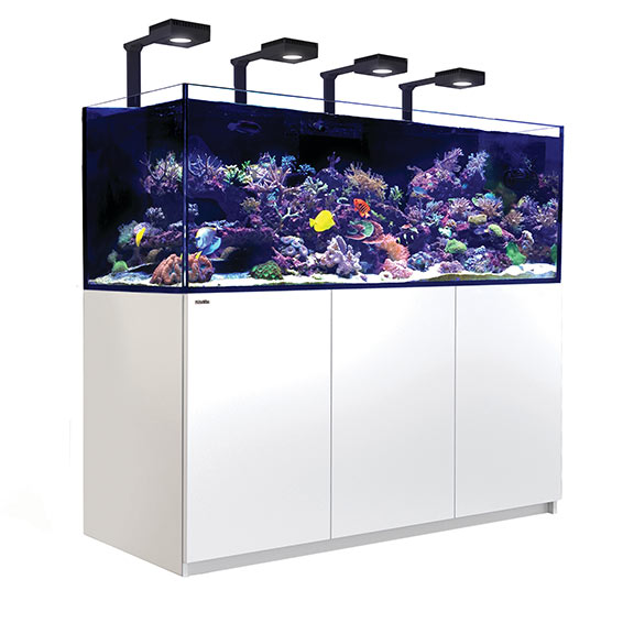 Red Sea REEFER™ DELUXE XXL 750 Rimless Reef Ready System, White