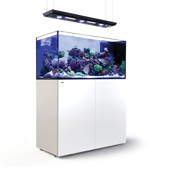 Red Sea REEFER™ DELUXE Peninsula 500 Rimless Reef Ready System, White