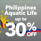 Philippines Sale